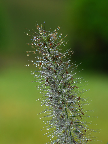 b0014607_9204260.jpg