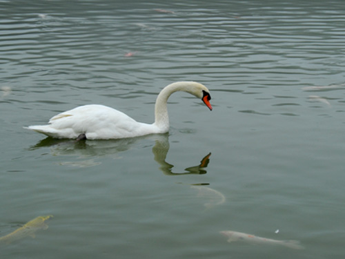 b0014607_9303122.jpg