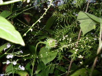 c0190010_2104210.jpg