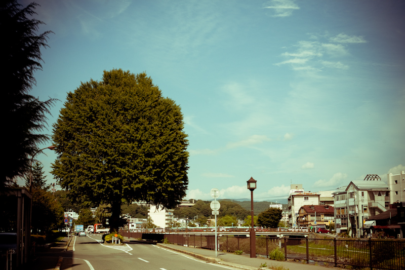 d0146912_2012223.jpg