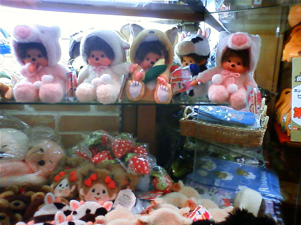 c0056315_2105612.jpg