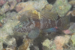 b0155916_224626.jpg