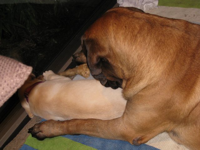 e0192217_21563430.jpg
