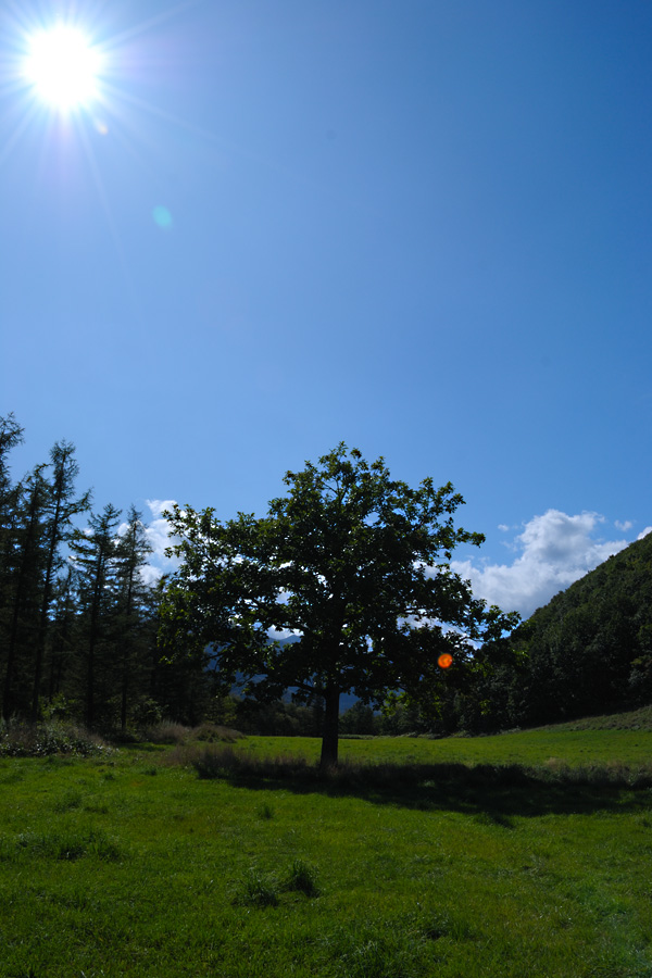b0146024_2124645.jpg