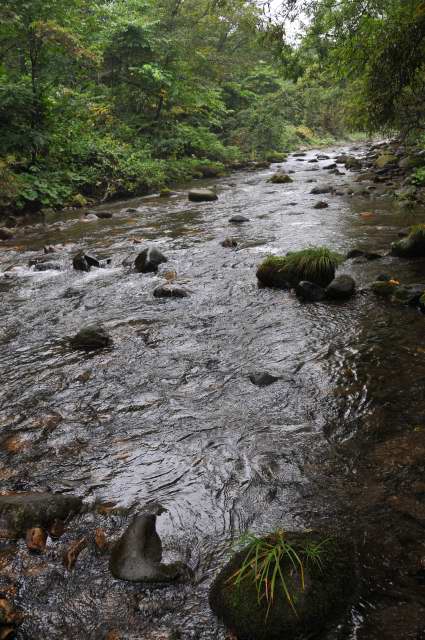 c0133133_21214042.jpg