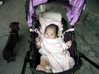 c0080038_21415648.gif