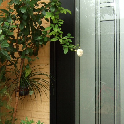 b0149340_19573957.jpg