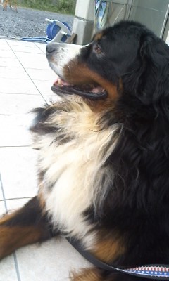 c0193042_10314569.jpg