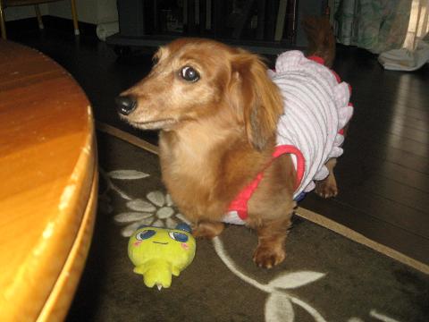 c0206342_1934329.jpg