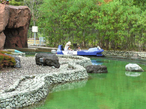 e0196543_2395491.gif