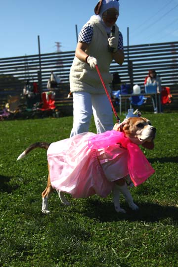 a0042044_177234.jpg