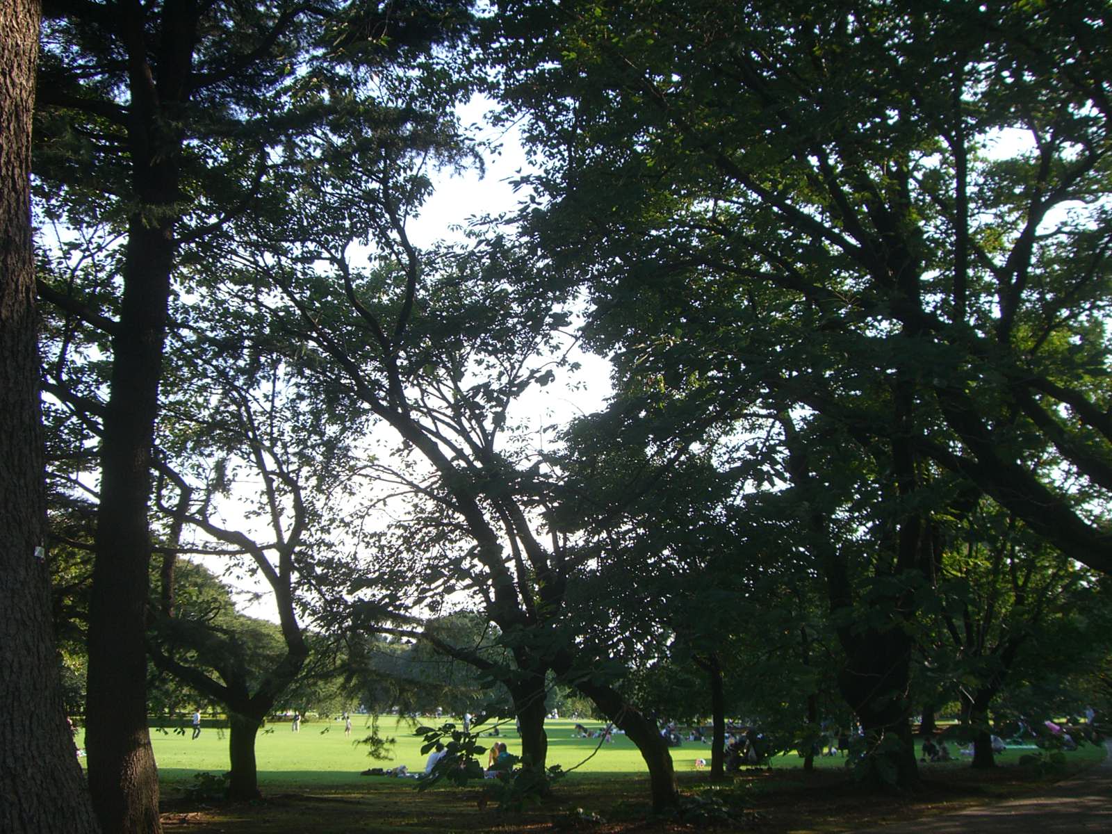 b0174844_07369.jpg