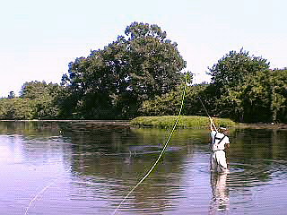 f0084561_16452459.jpg