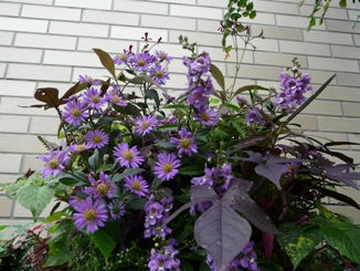 f0195963_15435394.jpg