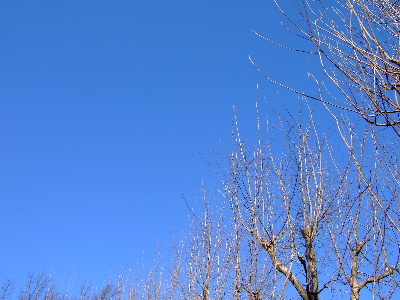d0102664_21324.jpg