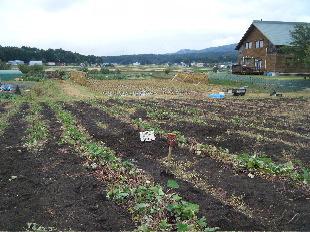 b0079965_6243191.jpg