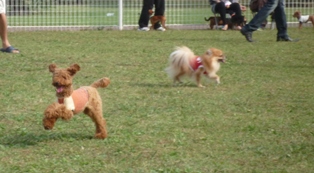 a0121966_013669.jpg