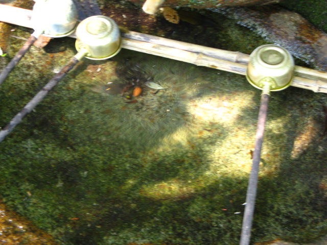 a0114469_1405464.jpg