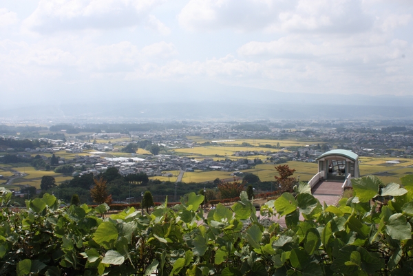 b0069169_050828.jpg