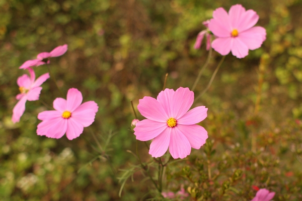 b0069169_1341119.jpg