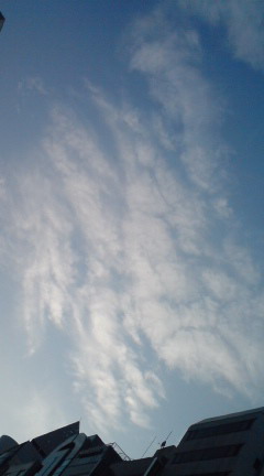 f0207969_9574313.jpg