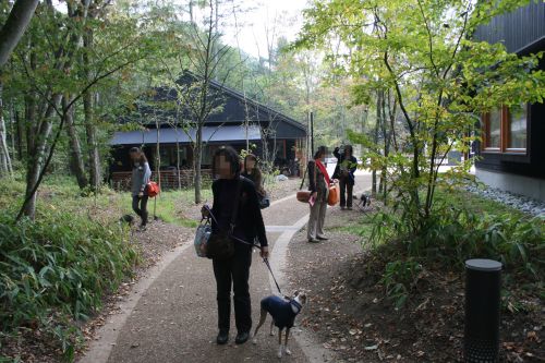 e0062371_21201184.jpg