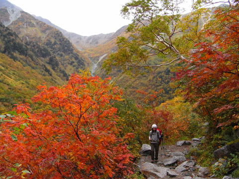 f0202271_23222675.jpg