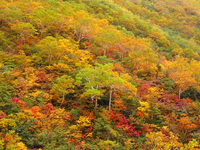 f0202271_23271928.jpg