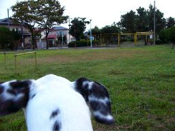 c0072379_22513172.jpg