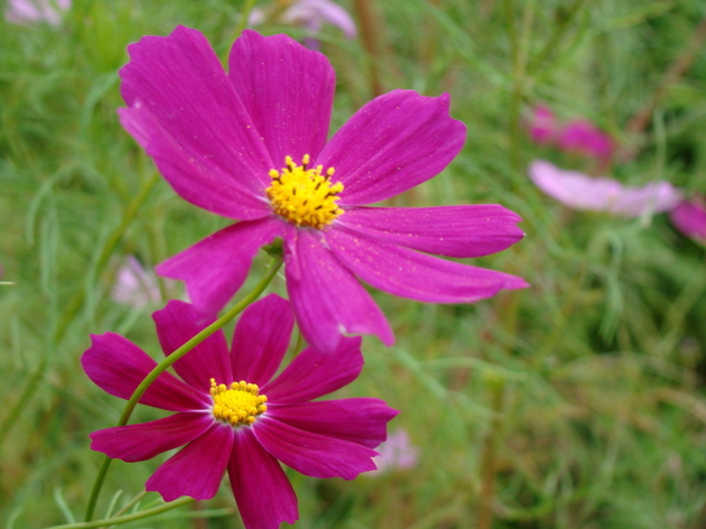 b0006289_23265055.jpg