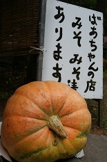 f0064192_7253469.jpg