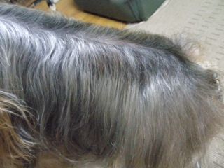 f0130894_2038307.jpg