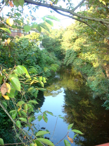 f0137694_0114175.jpg