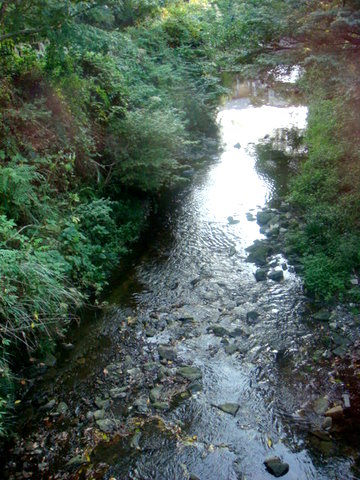 f0137694_0123630.jpg