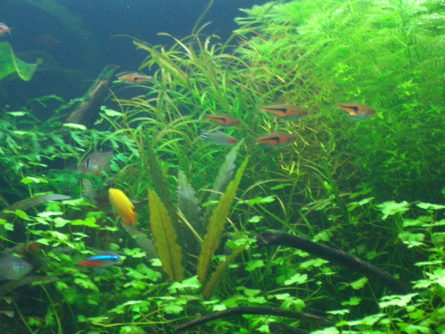 c0209896_23253939.jpg