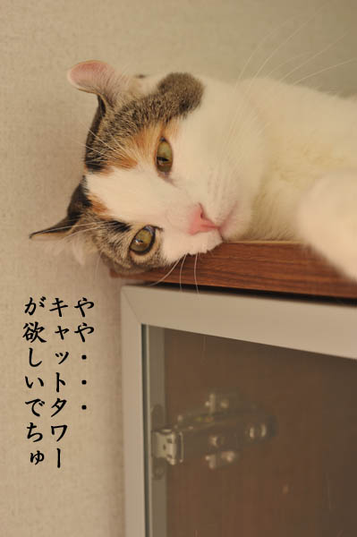 b0141397_12103441.jpg