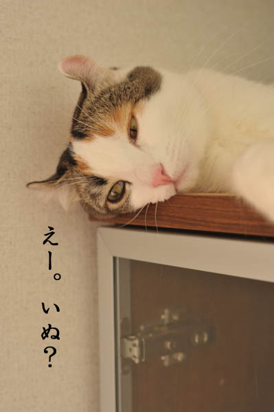 b0141397_1262996.jpg