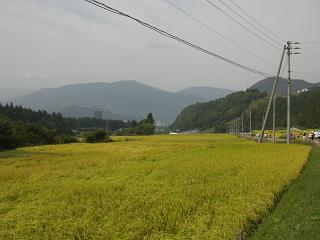 c0187298_20435047.jpg