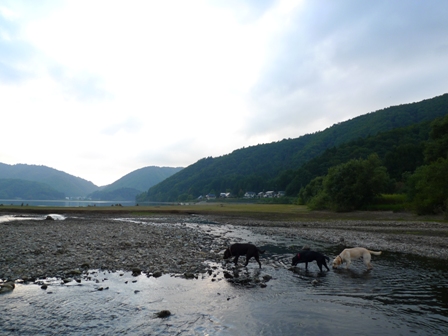 f0001698_22122410.jpg