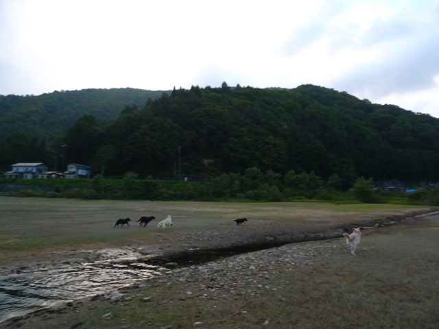 f0001698_22135444.jpg