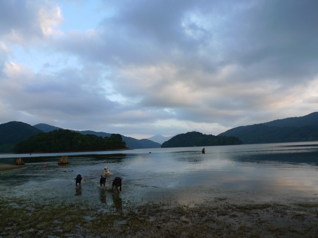 f0001698_22245737.jpg