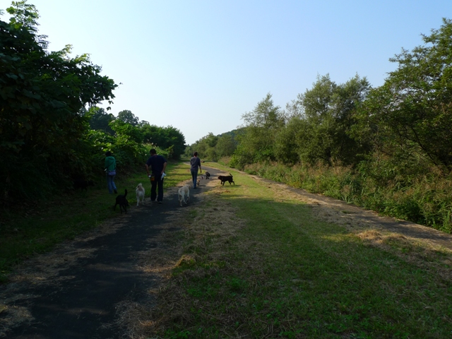 f0001698_2394438.jpg