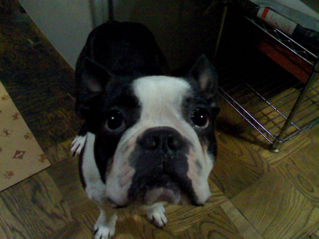 a0133999_20521580.jpg
