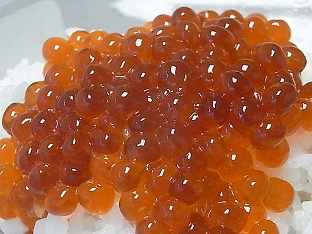 e0061902_2184128.jpg