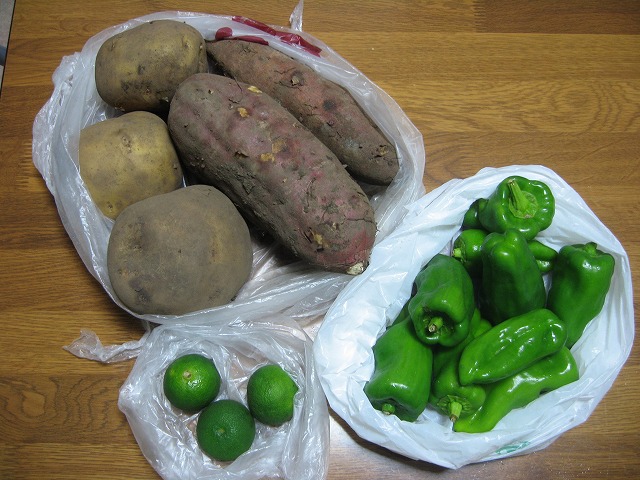 f0202703_21104175.jpg