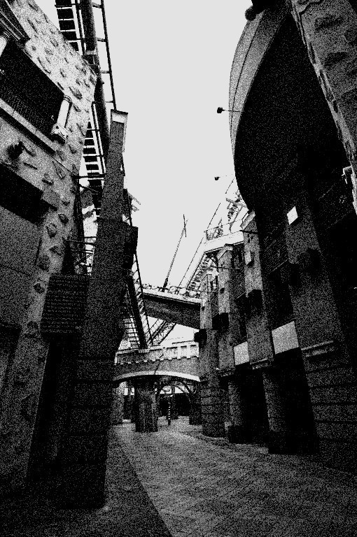d0119505_5584628.jpg