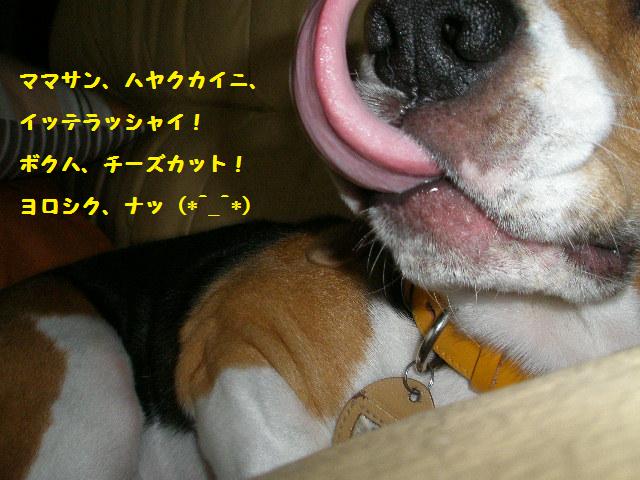 c0205806_11402762.jpg
