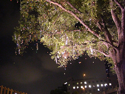 a0041508_21112721.jpg