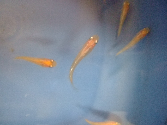 f0152308_18524377.jpg