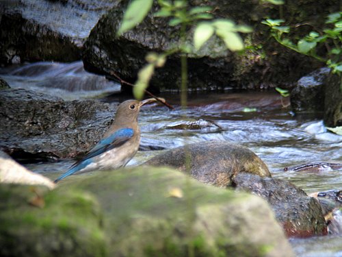 c0110510_22182141.jpg